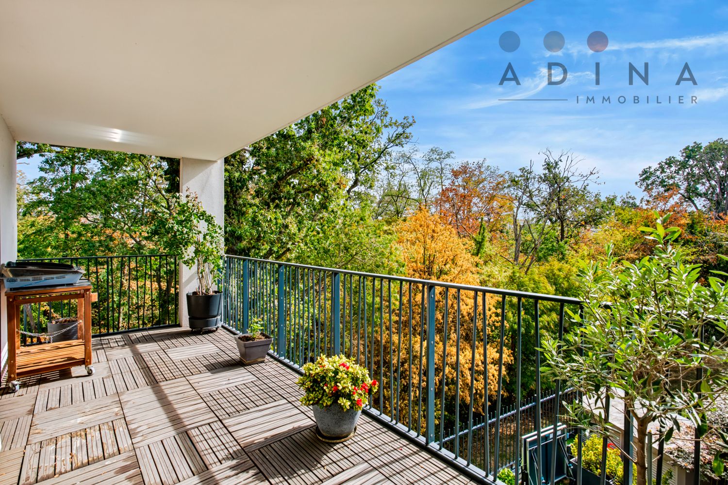 Property view 2